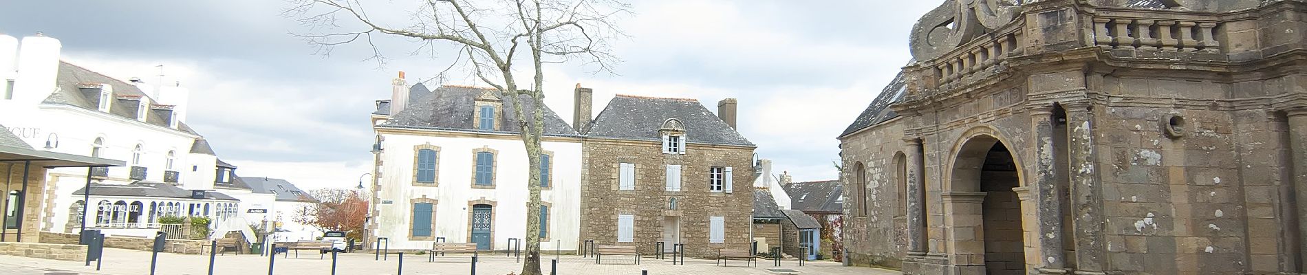 Tocht Te voet Carnac - Balade Fleurie - Photo