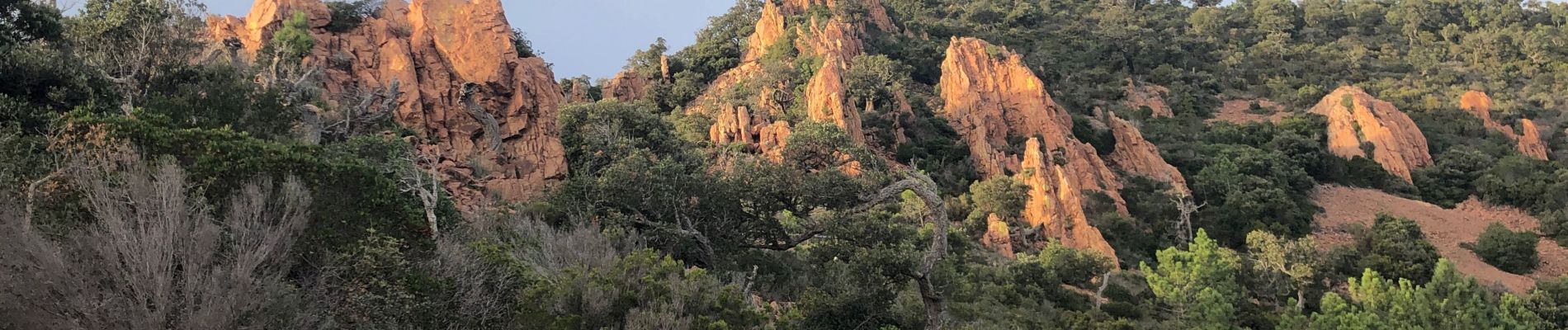 Tour Wandern Saint-Raphaël - massif de l'Esterel : autour des grues  - Photo