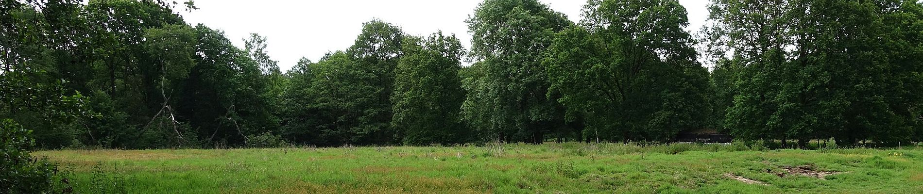 Excursión A pie Zonhoven - Kolveren blauw - Photo