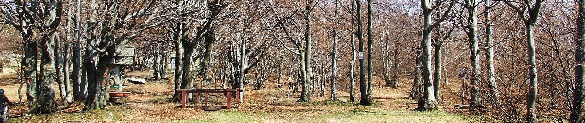 Excursión A pie Stella - Stella Santa Giustina – Croce Monte Beigua - Photo