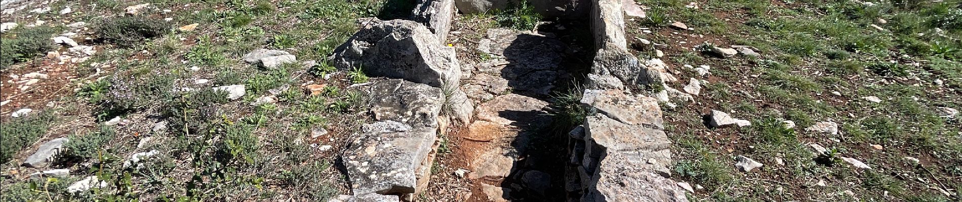 Tour  Cabasse - Cabasse le dolmen - Photo