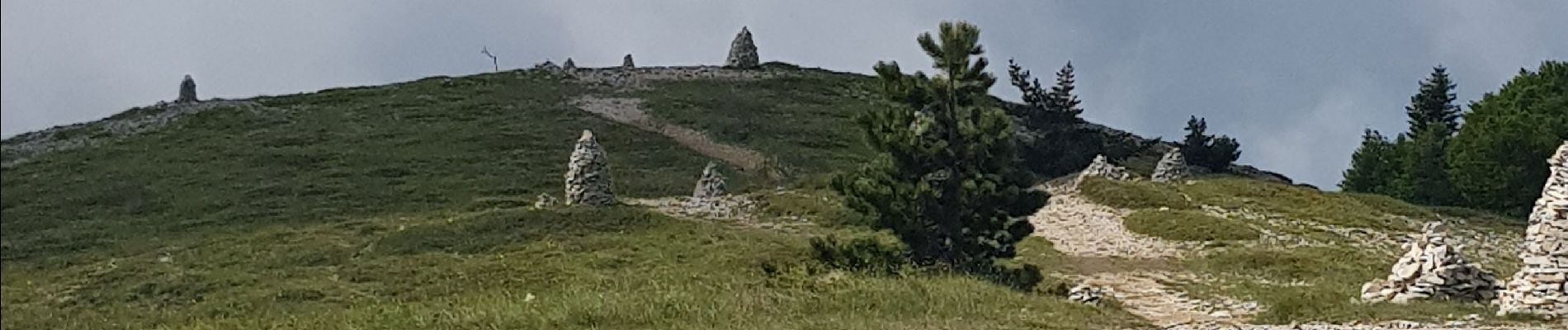 Tour Wandern Saint-Étienne-les-Orgues - Montagne de Lure, le Cairn 2000. - Photo