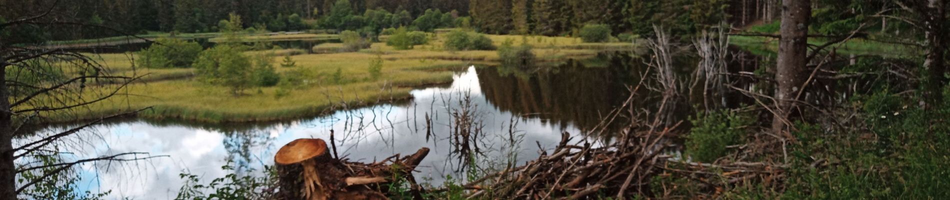 Randonnée Marche Dienne - Lac de Sauvage - Photo