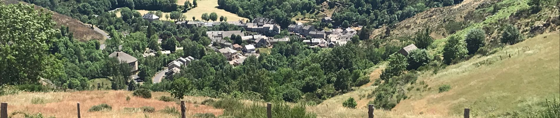 Excursión Senderismo Mont Lozère et Goulet - Le Bleymard Le Pont de Montvert  - Photo