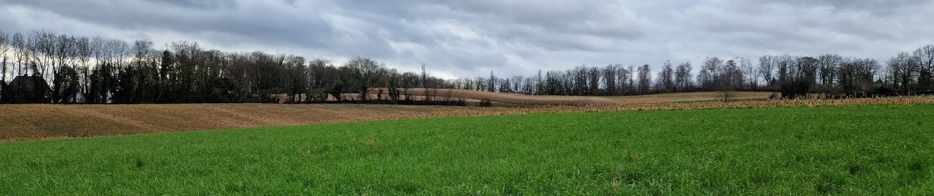 Percorso Marcia Wavre - #240209 - Bierges, autour du Bois Wilmet** (version courte horlogique) - Photo