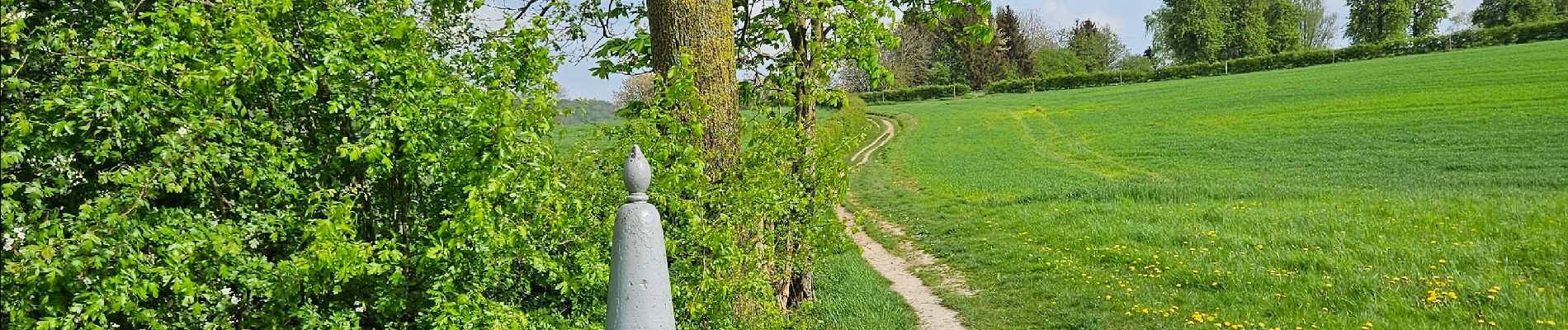 Tour Wandern Vuren - Amstel Gold Race 2024 🚲 - Photo