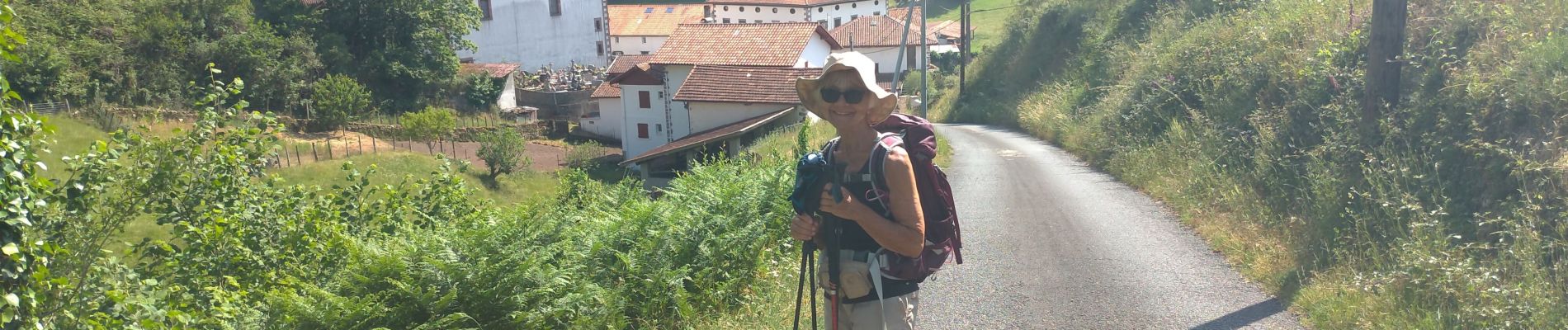 Trail Walking Urepel - Les aldudes urepel - Photo