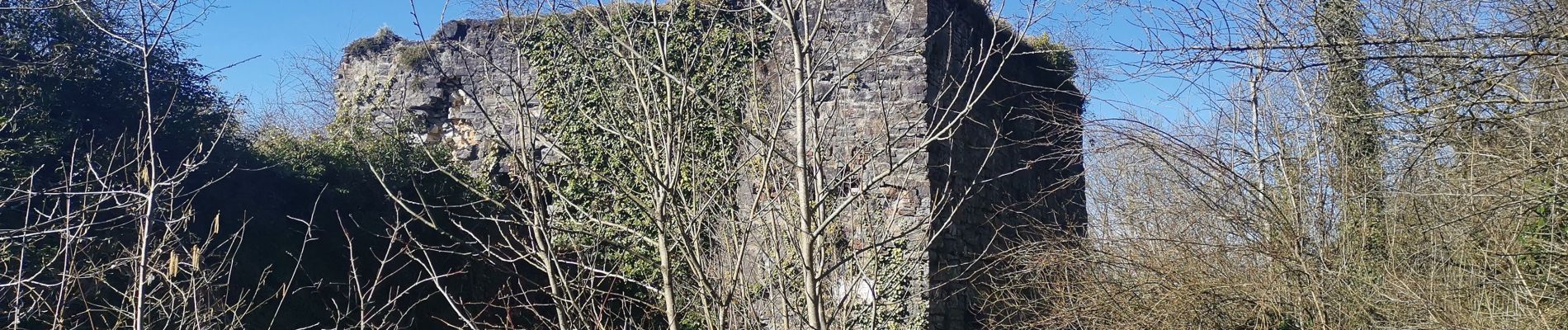 Excursión Senderismo Dinant - DINANT ... d'un versant à l'autre dans la cité des Copères. - Photo