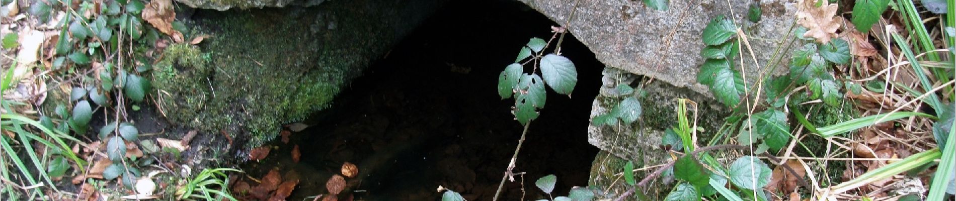 POI Fleurines - Fontaine des Lys - Photo