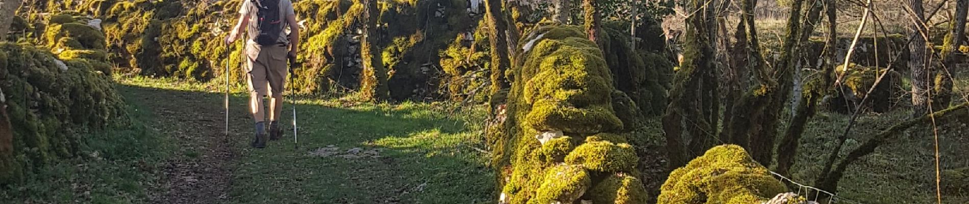 Randonnée Marche Reilhac - Autour de Reilhac - Photo