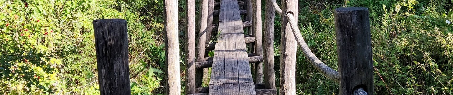 Percorso Marcia Geraardsbergen - Promenade sur des rondins de bois à Idegem - Photo