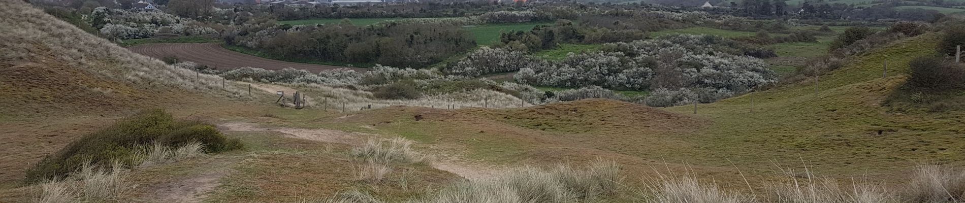 Tour Wandern Barneville-Carteret - Barneville - Hattainville AR boucle - Photo