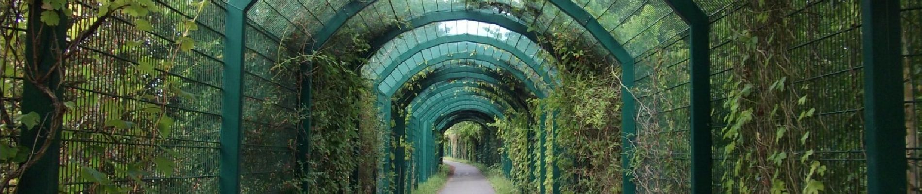 Tour Zu Fuß Kasendorf - Rundweg Roter Ring Thurnau - Photo