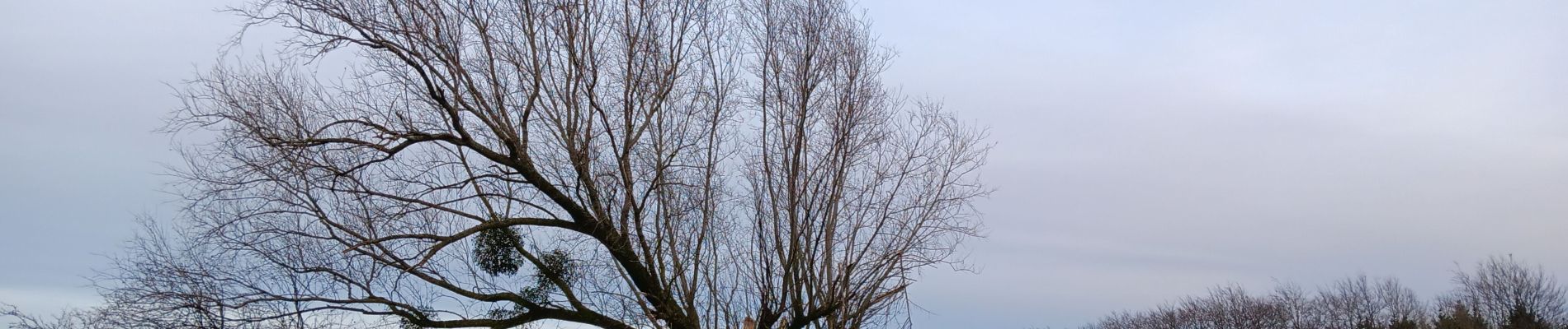 Tocht Stappen Comblain-au-Pont - autour d Oneux  - Photo