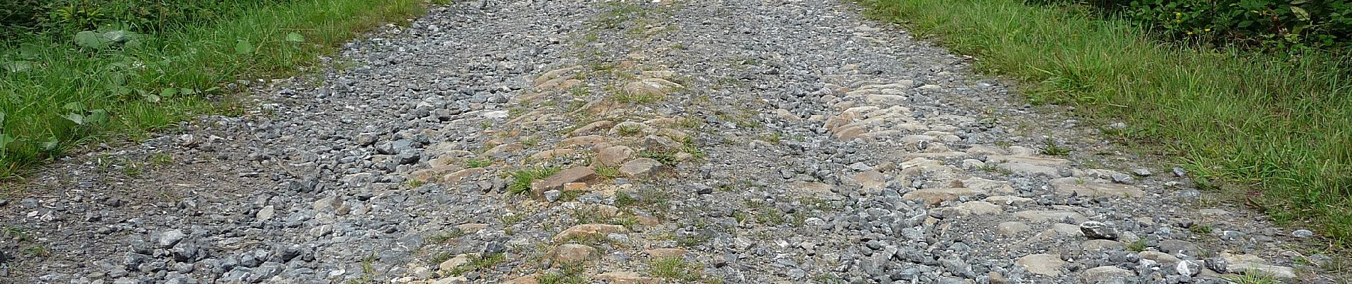 Tour Zu Fuß Nassogne - 5. Promenade de la Pisserotte - Photo