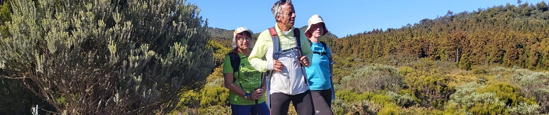 Excursión Senderismo Le Tampon - Chalet des pâtres - Plaine des Cafres en boucle - Photo