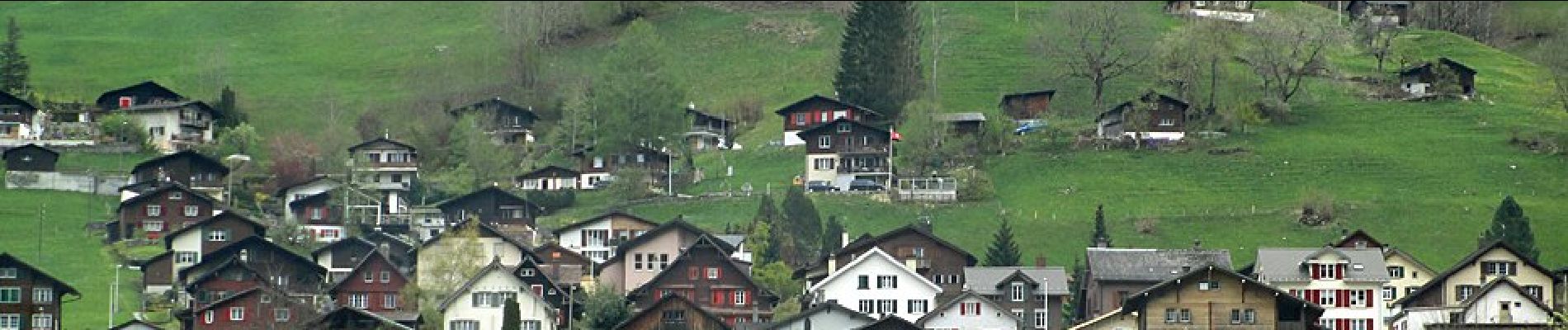 Tocht Te voet Glarus Süd - Mettlen - Soolsteg - Photo