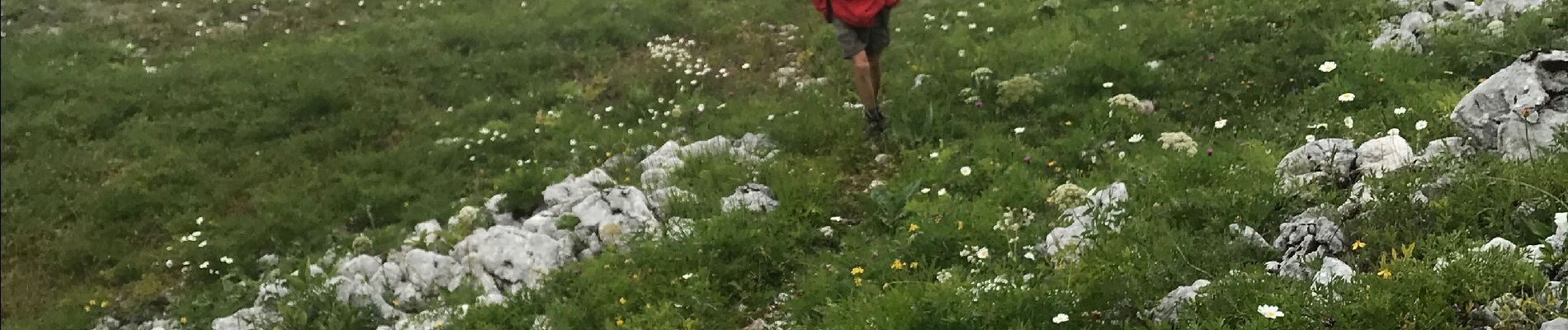 Tour Wandern La Chapelle-en-Vercors - Balcons Est des Hauts Plateaux - Photo