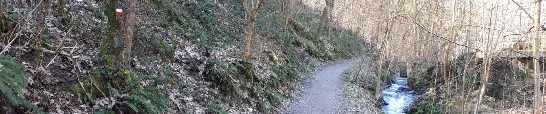 Tour Wandern Hamoir - HAMOIR (Vallée du Neblon) - Photo