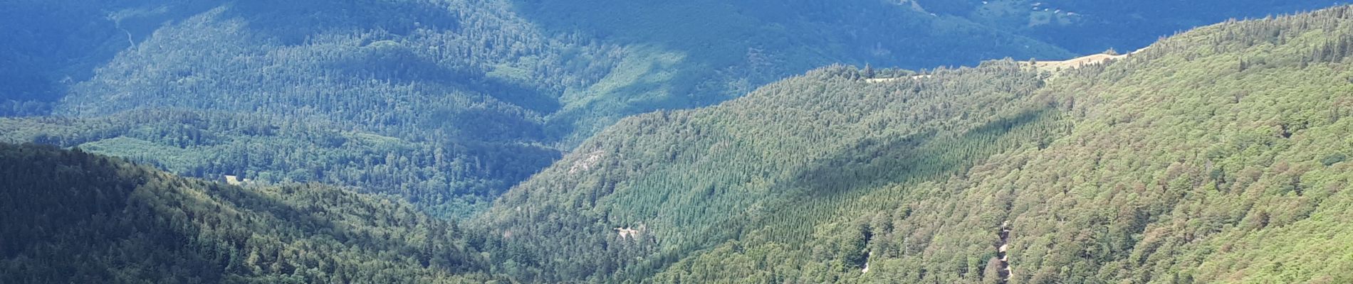 Randonnée Marche Soultz-Haut-Rhin - Le Grand Ballon - Photo