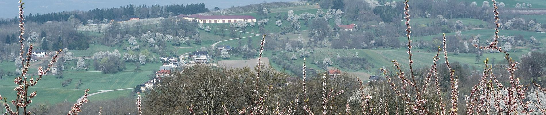 Randonnée A pied Scharten - Kronbergrundweg - Photo