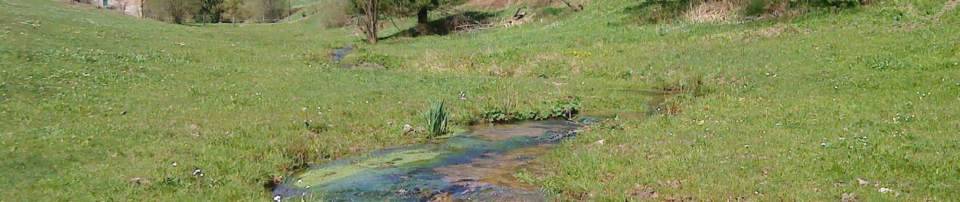 Tocht Te voet Flörsbachtal - Kulturweg Flörsbachtal 2 - Photo