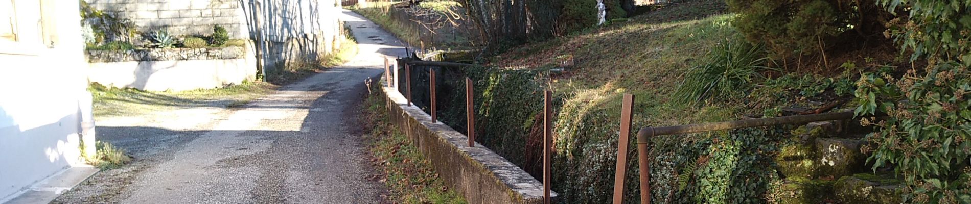 Tocht Stappen Masevaux-Niederbruck - Buchberg - Photo