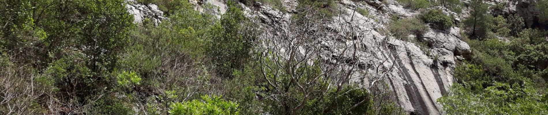 Tour Wandern Ceyreste - Ceyreste, cabane du marquis, vallon des conquêtes. - Photo