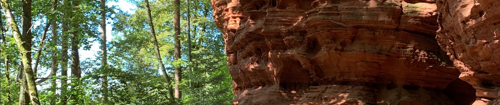 Tocht Paardrijden Roppeviller - Tour du Altschlossfelsen - Photo