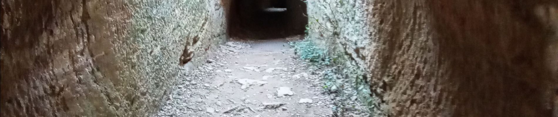 Randonnée Marche Saint-Bonnet-du-Gard - tunnels romains par les crêtes  - Photo