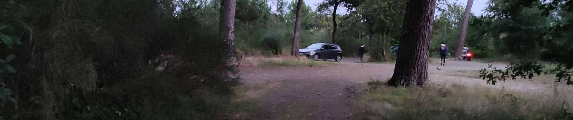 Randonnée Marche Aire-sur-l'Adour - AIRE SUR L'ADOUR terra aventura nocturne  