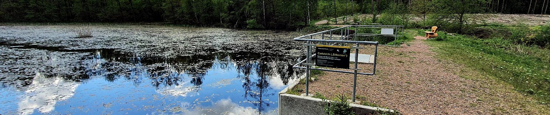 Trail On foot Wermsdorf - Zum Luppaer Naturbad - Photo