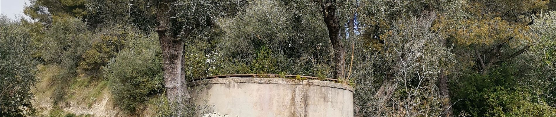 Randonnée Marche Nice - Parc Départemenatl d'Estienne d Orves - Photo