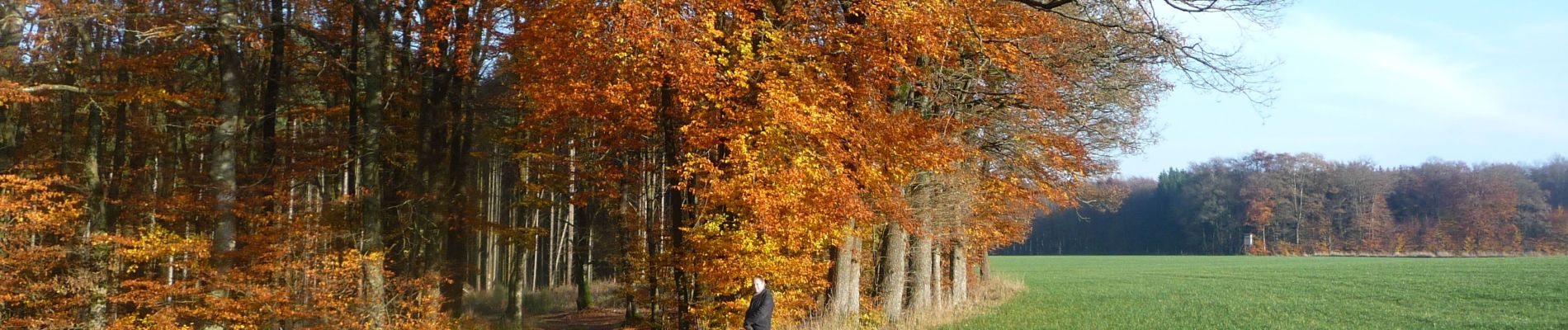 Percorso A piedi Wincrange - Wikiloc Urspelt Maulusmuhle - Photo