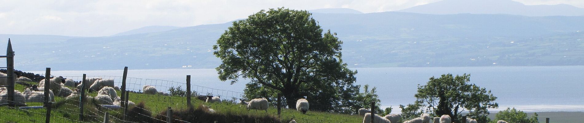 Randonnée A pied Unknown - Causeway Coast and Glens - 14 - Binevenagh - Photo