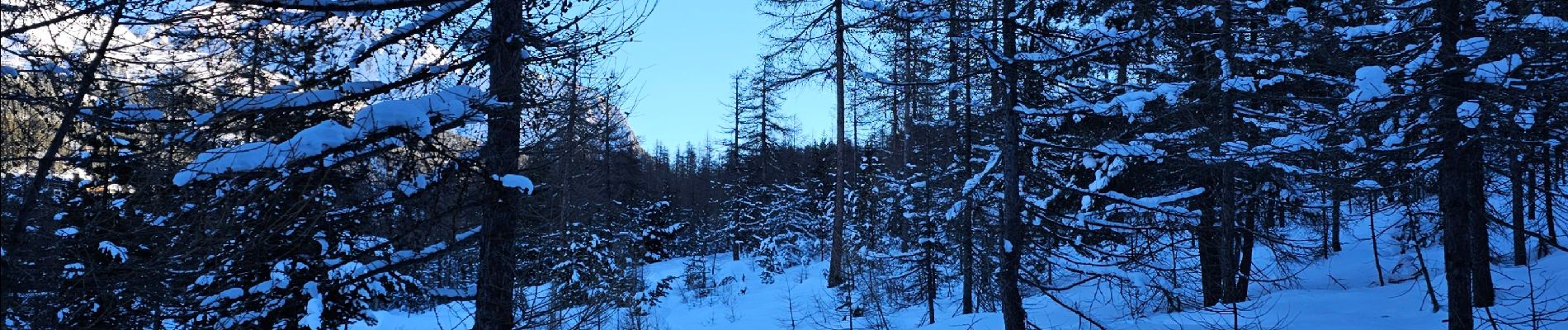 Tour Wandern Montgenèvre - Montgenèvre: Sentier de Sestrières - Photo