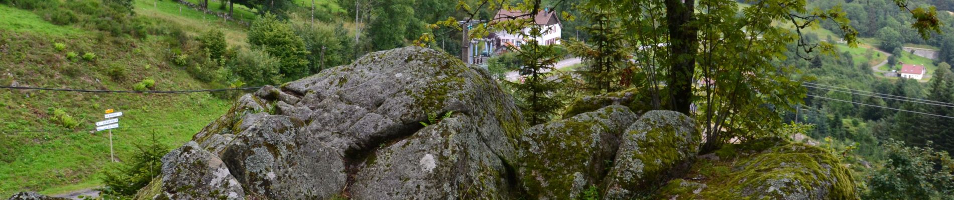 Randonnée V.T.T. La Bresse - La Bresse : CIRCUIT VTT N°1 - LES BALCONS DE LA BRESSE - Photo