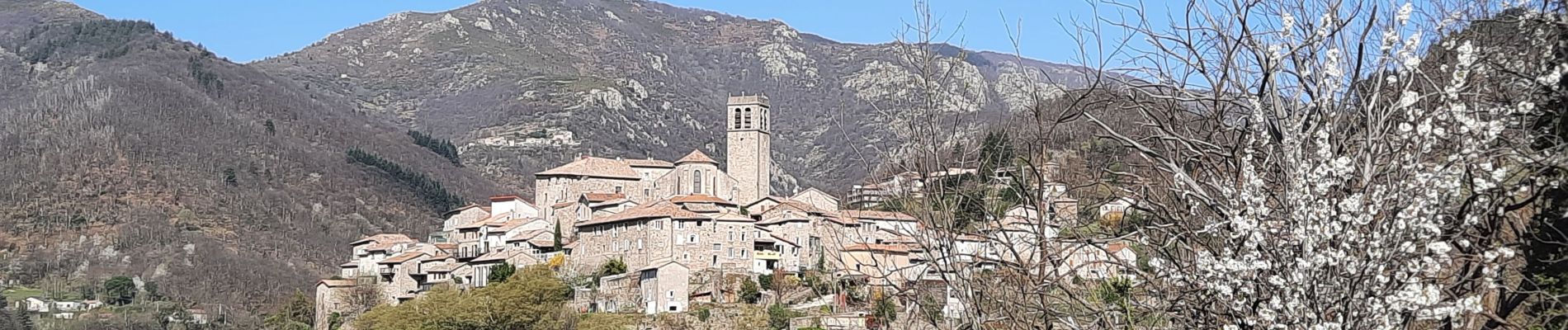 Excursión Senderismo Vallées-d'Antraigues-Asperjoc - Antraigues - Gamondes 17 km - Photo