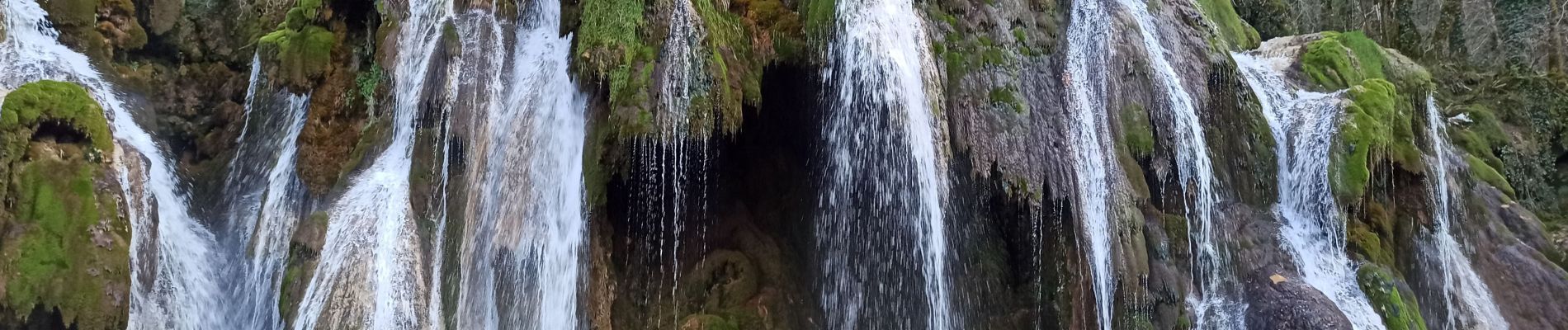 Tour Wandern Lessard-en-Bresse - mesnay confiture - Photo