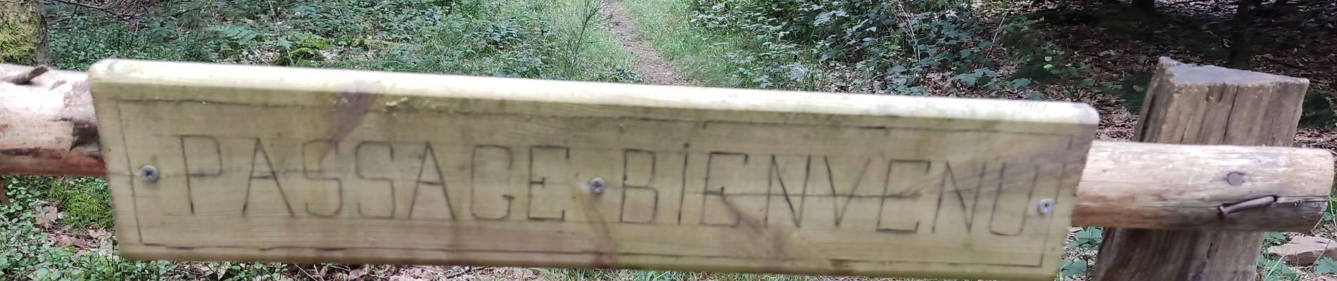 Tocht Stappen Gouvy - la ferme de la Hé Cierreux - Photo