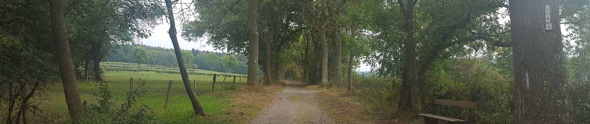 Tocht Te voet Eupen - Binster - 3 Km Yellow - Photo