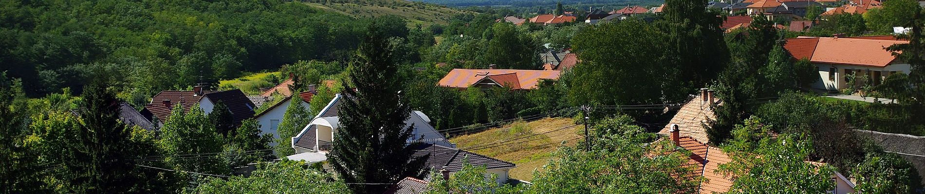 Trail On foot Győrújbarát - Tobozgyűjtő út - Photo