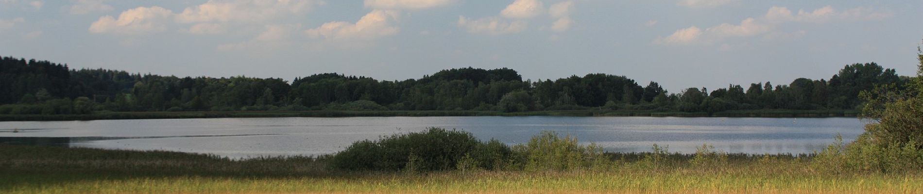 Tour Zu Fuß Weyarn - Seerundweg - Photo