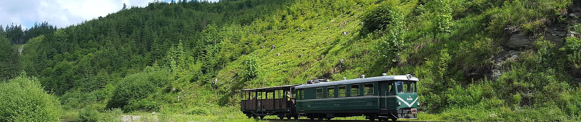 Percorso A piedi Borșa - C.F.F. Măcârlău - Refugiul Montan Lucăciasa - Băile Borșa - Photo