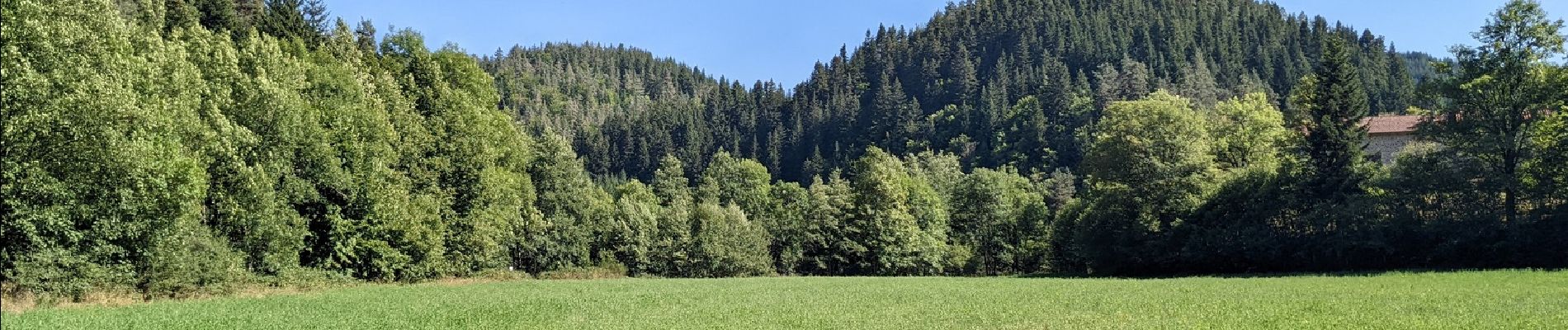 Tour Wandern Sainte-Sigolène - ste sigolene - boucle de vaubarlet - Photo