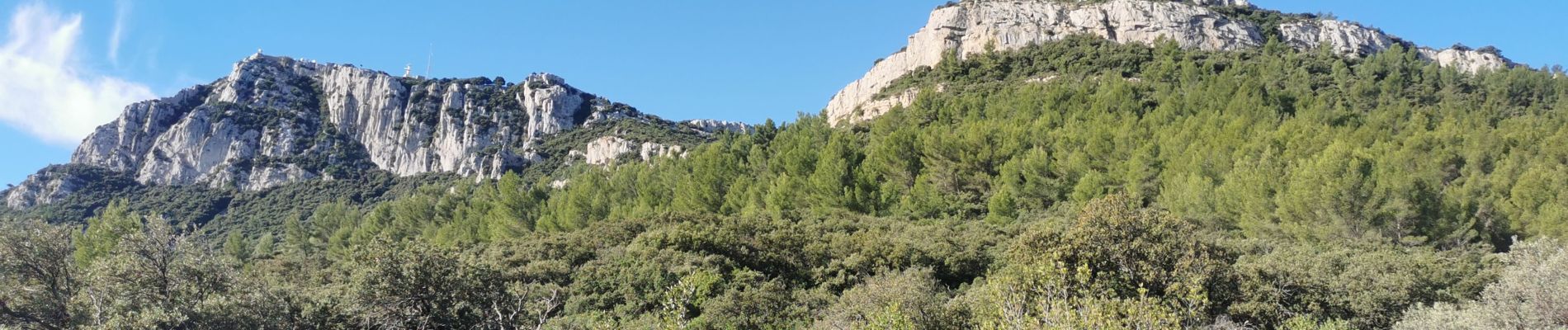 Tocht Stappen La Farlède - sommet du Coudon en partant de La Farlède - Photo