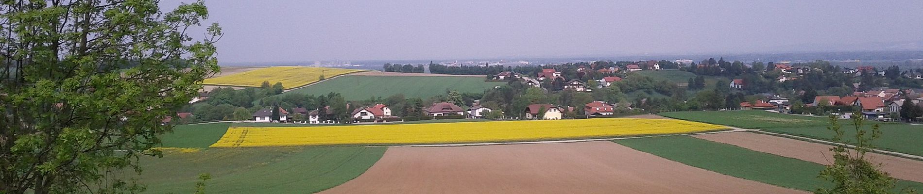 Percorso A piedi Gemeinde Purkersdorf - Wilfersdorf - Hadersdorf - Photo