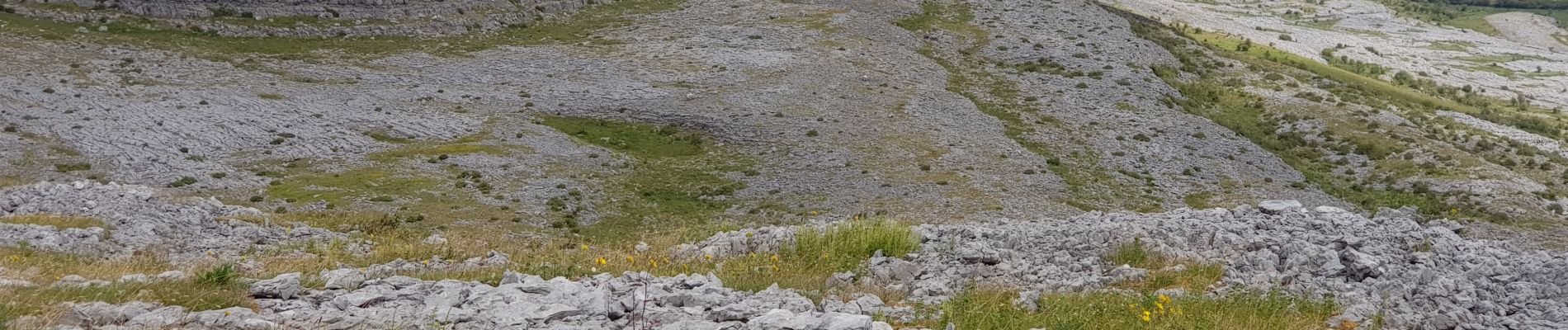 Tocht Stappen West Clare Municipal District - 190705BurrenNationalPark - Photo