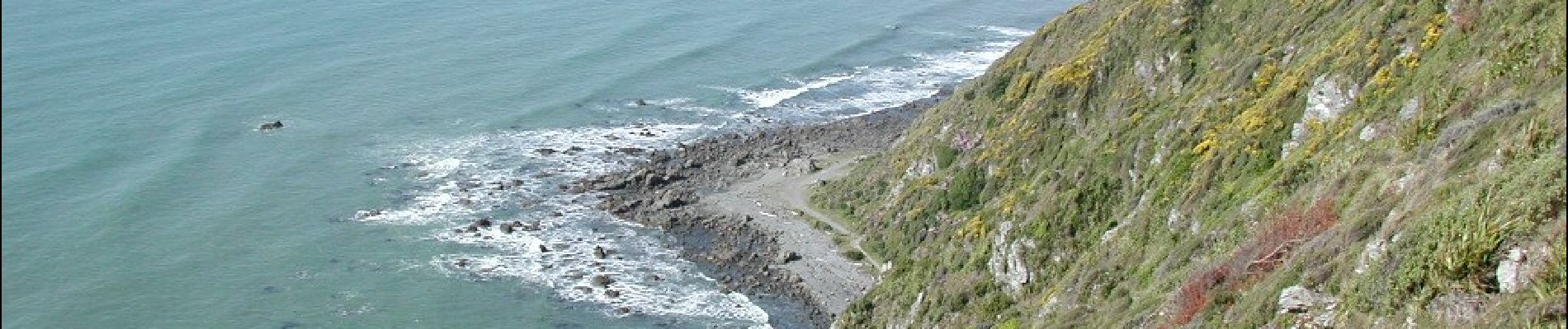 Excursión A pie Unknown - Paekakariki Escarpment - Photo