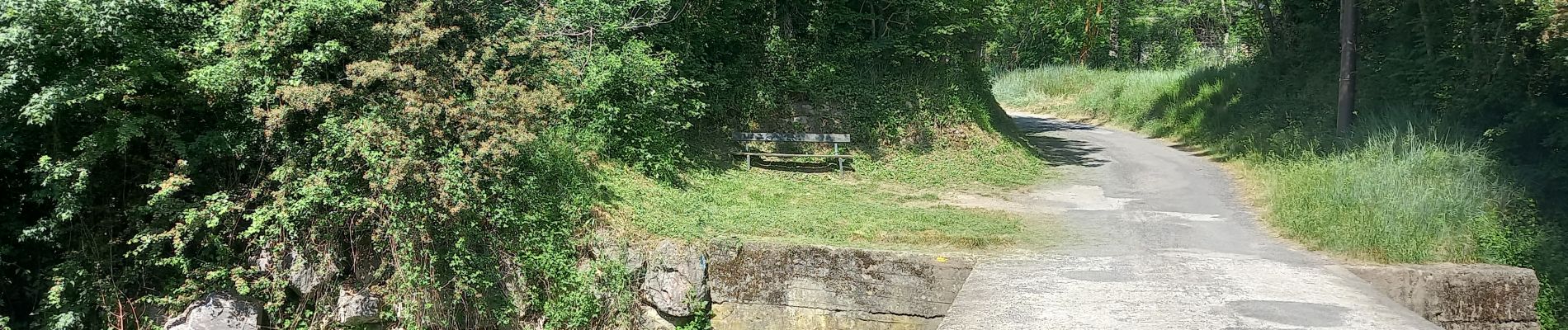 Punto di interesse Saint-Georges-de-Luzençon - traversée du Cernon sur pont bas puis du chemin de - Photo